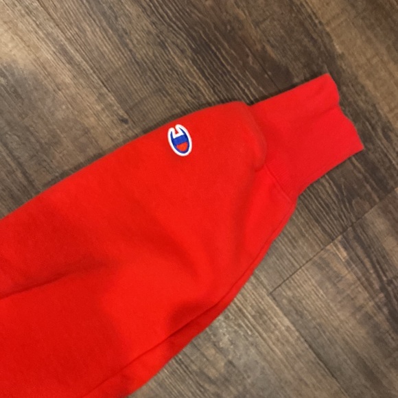 Heavy Champion Hoodie - Picture 4 of 4